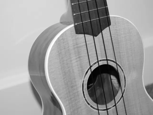 American tradition finds its way into the latest offerings from PRS and John Mayer: the SE Silver...