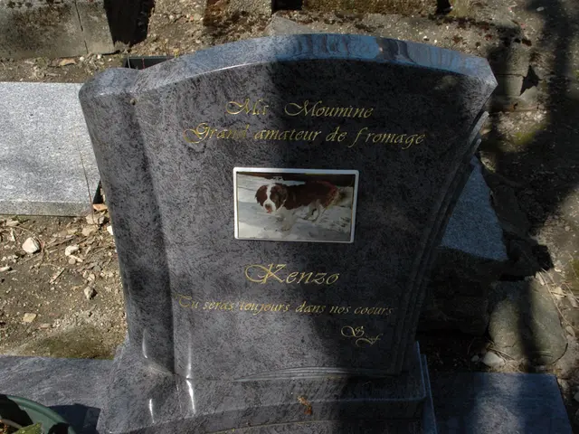 Digital deceased deserve the authority to erase their data to prevent AI resurrection, advocates...