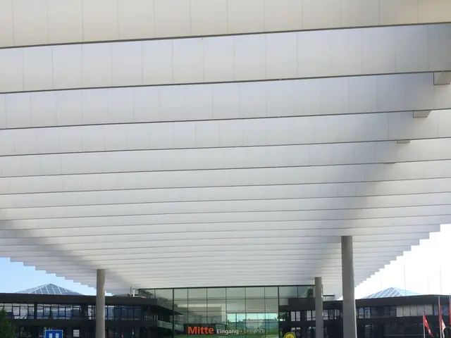 Tunisia Plans to Halts Bolt Due to Accusations of Tax Fraud and Illicit Wealth Transfer