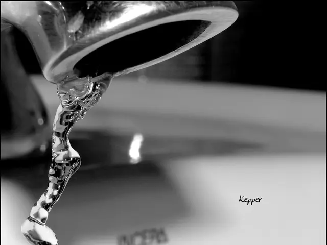 Method for Eliminating TikTok Watermark Without Utilizing Any Application (Speedy & Cost-Free...