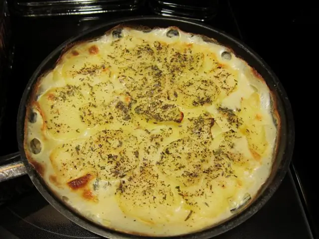 Interview with Hanna Hurndell: Rotoscope Artist Discusses Her Work