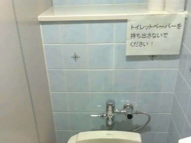 Toyota's Toilet Unveiled: Delving into the Unexpected Rationale Behind the Auto-Maker's Sanitation...