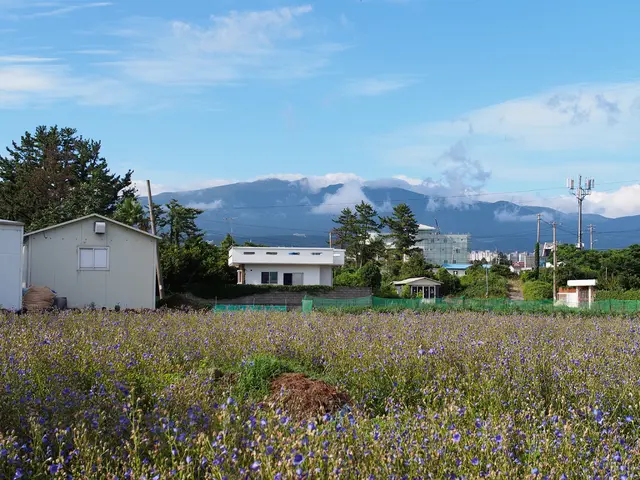 Companies optimize their solar power systems, leveraging PV technology, from installations on...