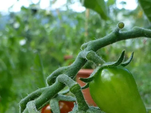 Astrochemistry Overview and In-depth Analysis - Astrochemistry Terminology Guide