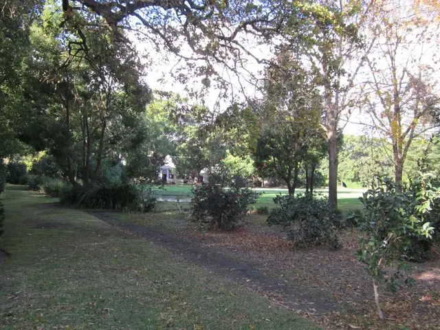 Meta's AI Forest Map: Revolutionizing Carbon Monitoring through Artificial Intelligence