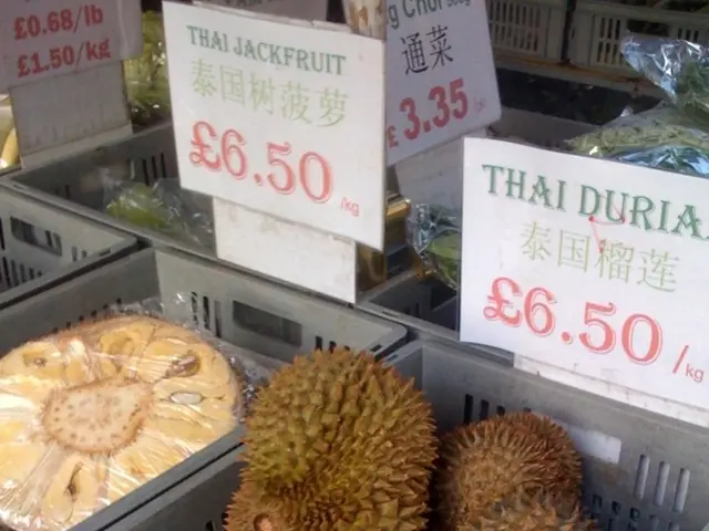 Partnership Established Between Earnix and Sapiens in Pricing Solutions Development