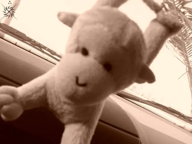 AI Checker for Questionable Damage Charges in Rental Scans