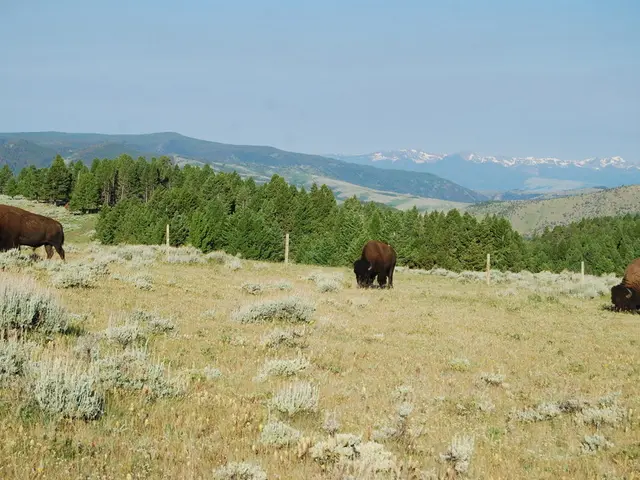 Seven Strategies Set to Transform Wildlife Migration Records Permanently in Nature Publications