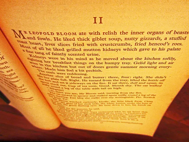 Ripple Suing SEC: Important Notice Emphasized