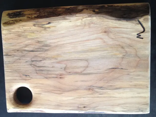 Exploring the Advantages of Architectural and Design Software Based on Floor Plans!