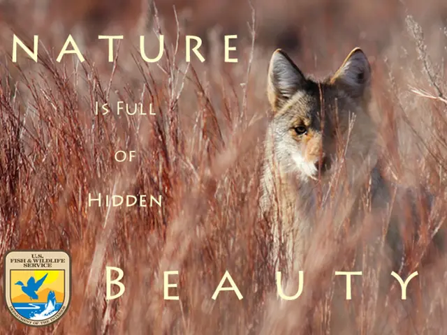 Foxconn Transfers Ownership of Ohio Facility for Continued Management of AI Servers Manufacturing