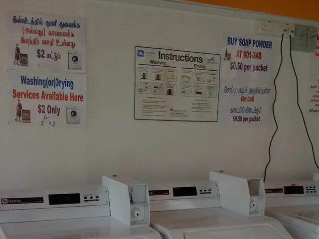 Artificial Intelligence titans Orbler and Veltrixa join forces for a revolution in digital finance.