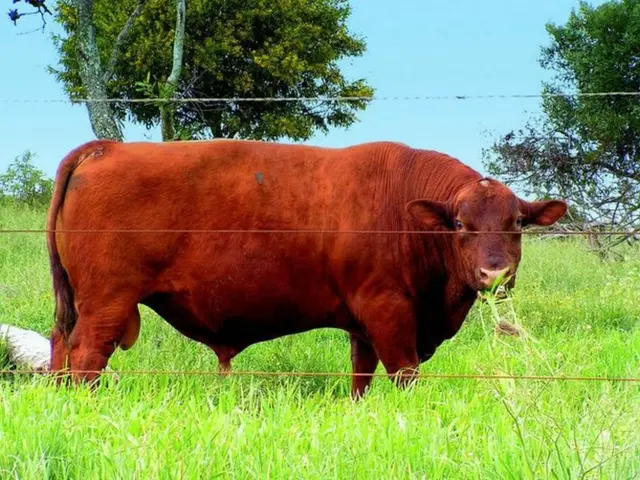 Predicting Dogecoin's price surge to $5 by 2030: an analysis