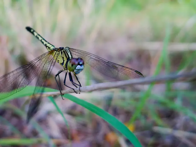 Steam discontinues support for 32-bit Windows operating systems