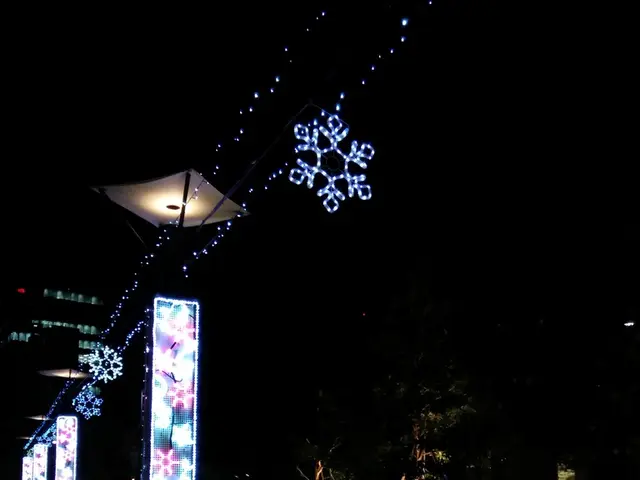 Astronaut from NASA snapshots uncommon sight of lightning ascending towards Earth's upper layer