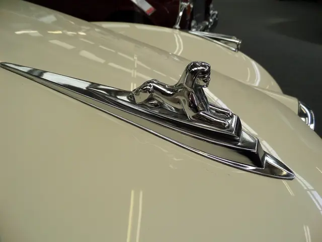 In this image there are car logos on the car.