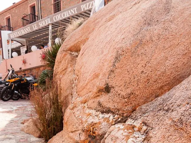 There are rocks. Near to that there are plants. In the back there is a building with windows,...