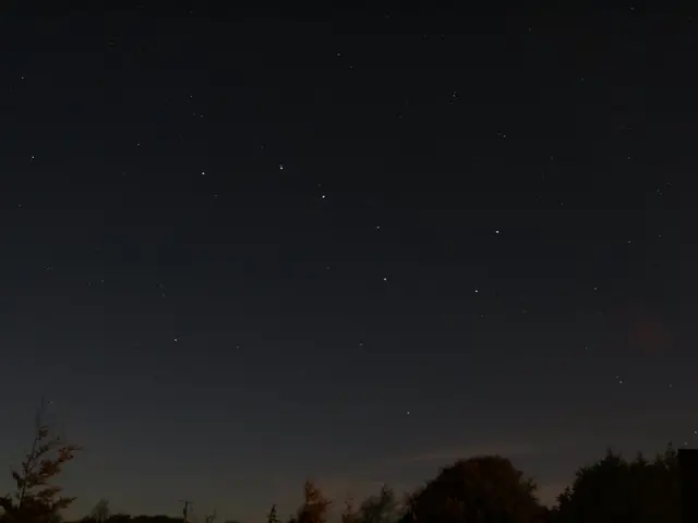 In the image we can see there are lot of trees and there are stars in the sky.